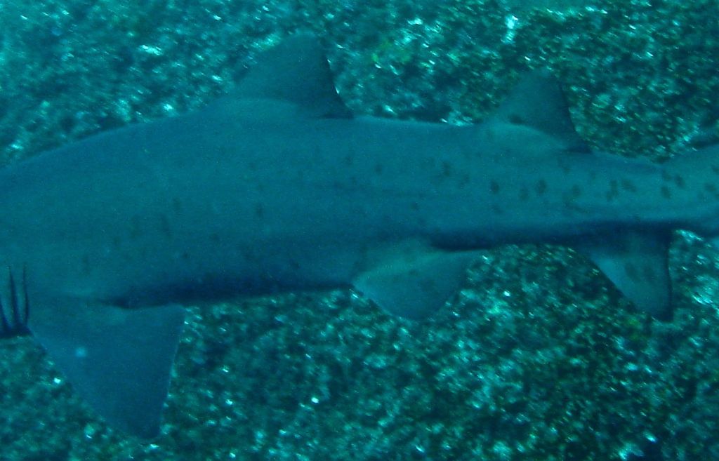 03760a88-4acb-4b70-89cf-c7f486c8e16a