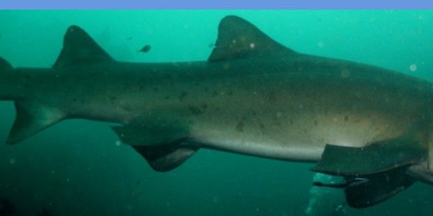 70abd634-7df4-4a04-a04a-f9c383caece8