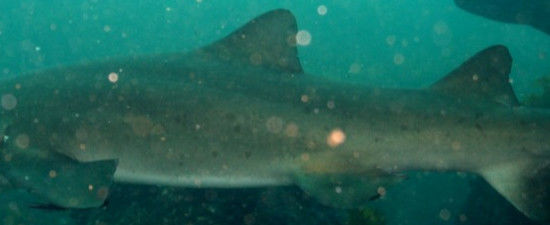 70abd634-7df4-4a04-a04a-f9c383caece8