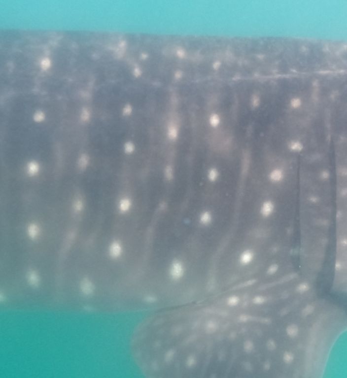 aa73991d-bc7c-40b2-97f8-0b2445bd81cb