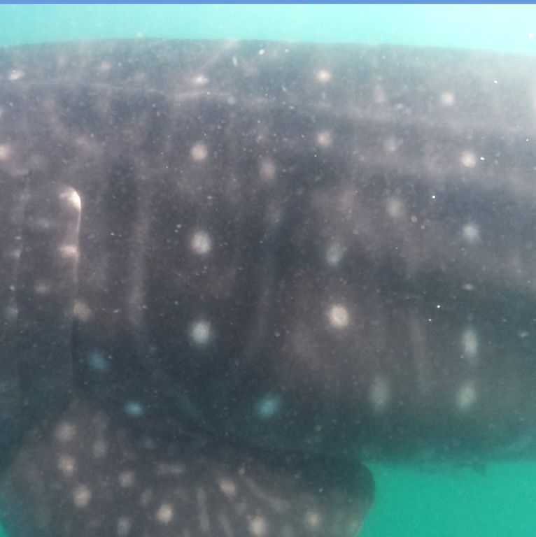 aa73991d-bc7c-40b2-97f8-0b2445bd81cb