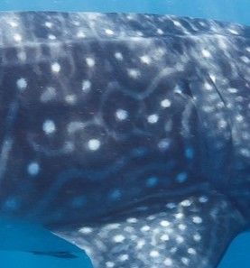 f07bcd53-eeee-4f78-ad7b-35d8e9dfe0f9