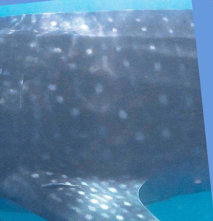 f07bcd53-eeee-4f78-ad7b-35d8e9dfe0f9