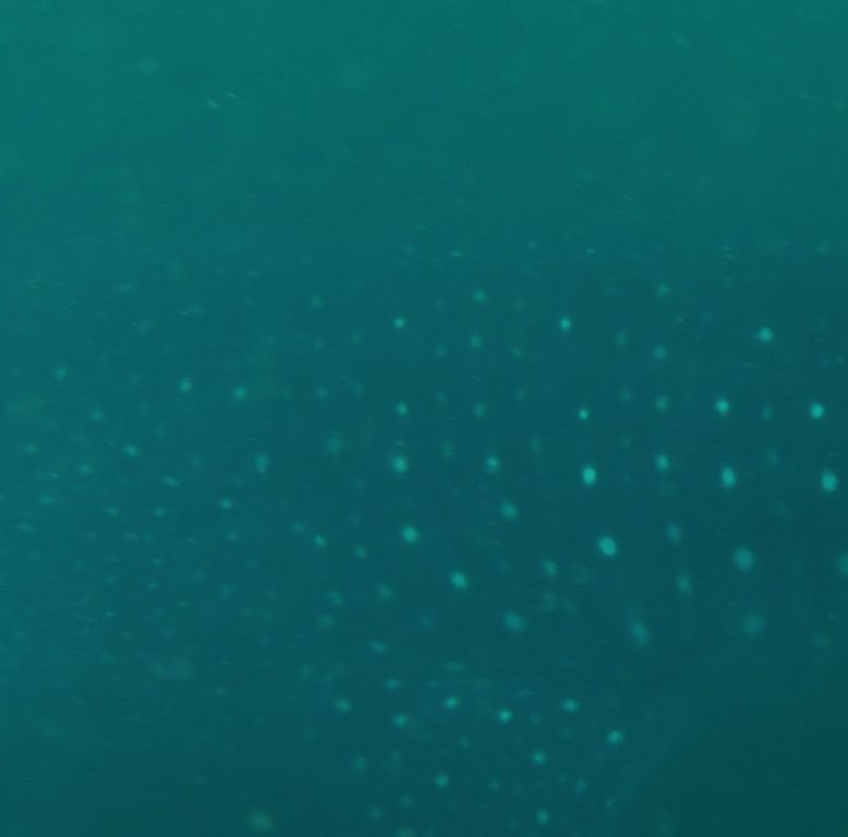 e6fefe13-5191-4e35-8028-54c9be3823fa