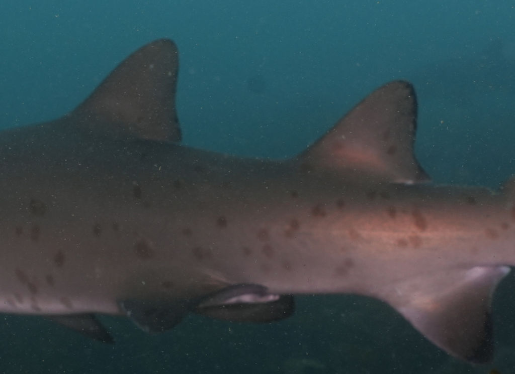 6fa9438d-4502-48f6-bba5-1554471f3064