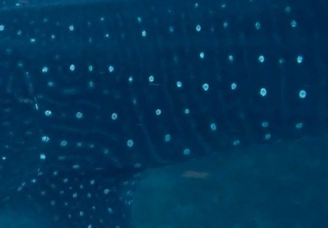 70efcd3f-ece5-408b-9c59-1bf4102ce834