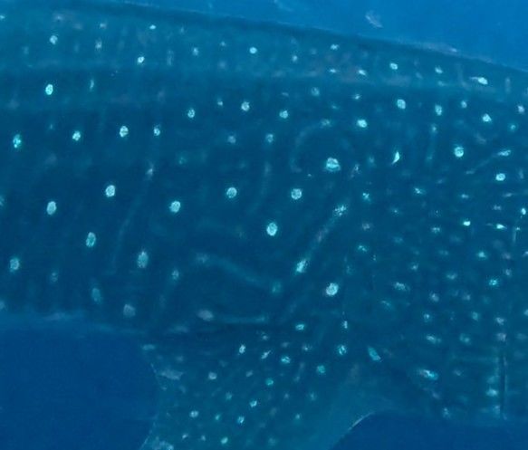 70efcd3f-ece5-408b-9c59-1bf4102ce834