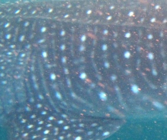 8286653a-420d-4eb4-8d93-0968f4b48fa7