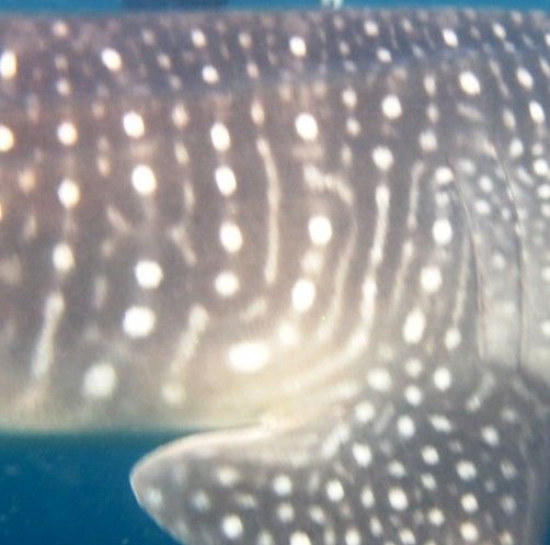 8286653a-420d-4eb4-8d93-0968f4b48fa7