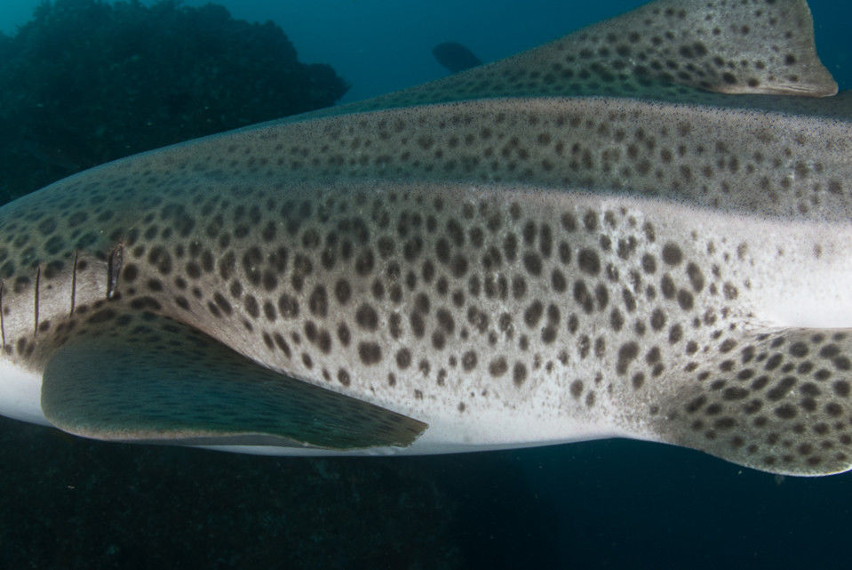 777a7713-60c1-4fc4-ba9d-95924db5a729