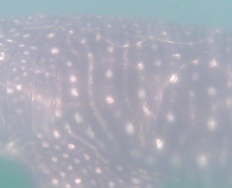 5f892730-7766-42bc-a30e-f91cc997b1f2