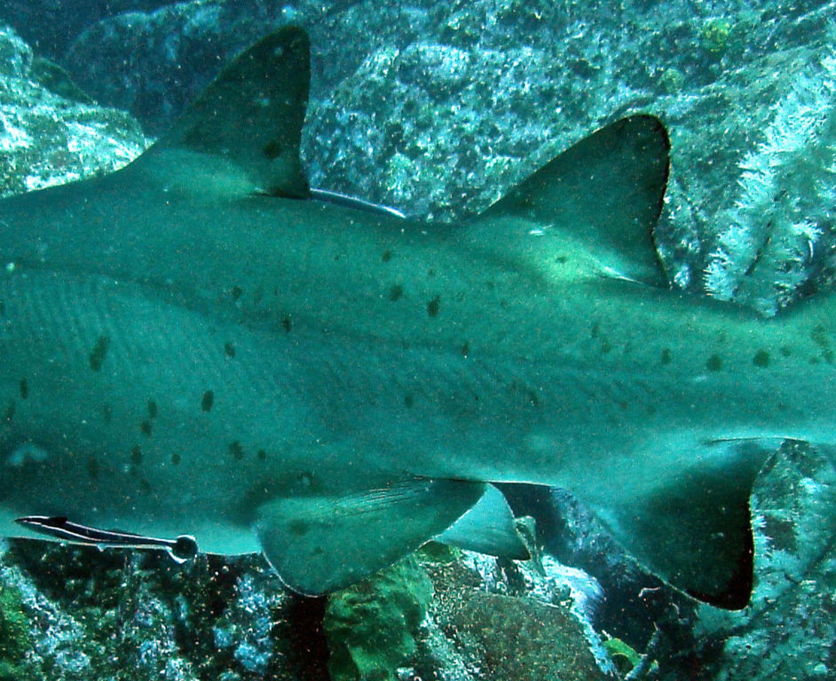 3fca4c9c-6223-4c21-8dce-86ae839329a8