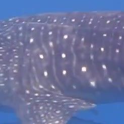 d9075813-326d-437e-9b9f-bd075a94354a