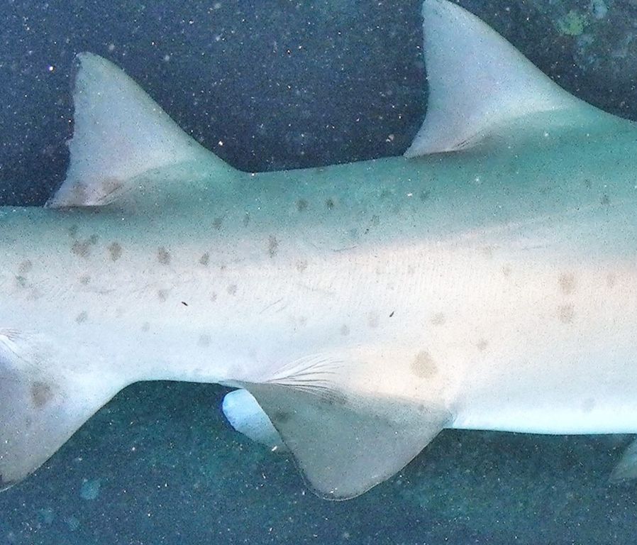 9b7f185a-b599-4a2a-8d77-2e62ed4d6b6c