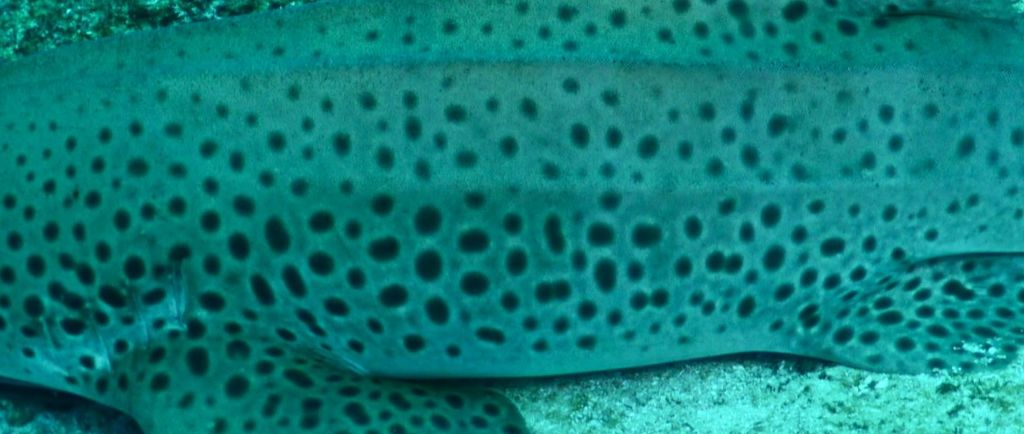 49b577f9-1305-4d82-ae41-f269152f7f39