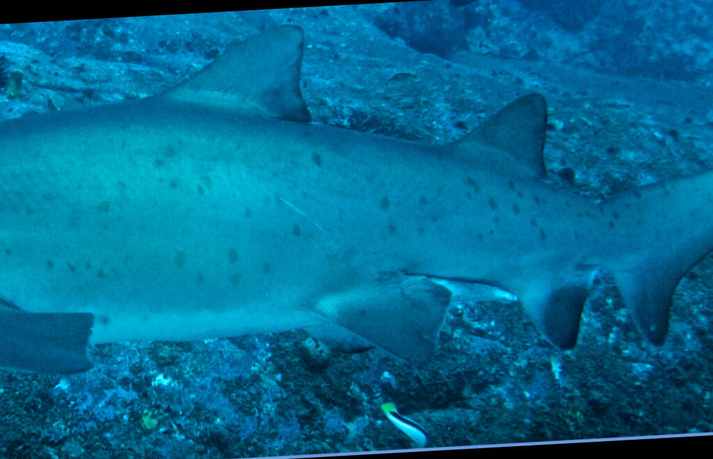 ada0ef3d-344a-4615-bfdf-4b5d148238f7