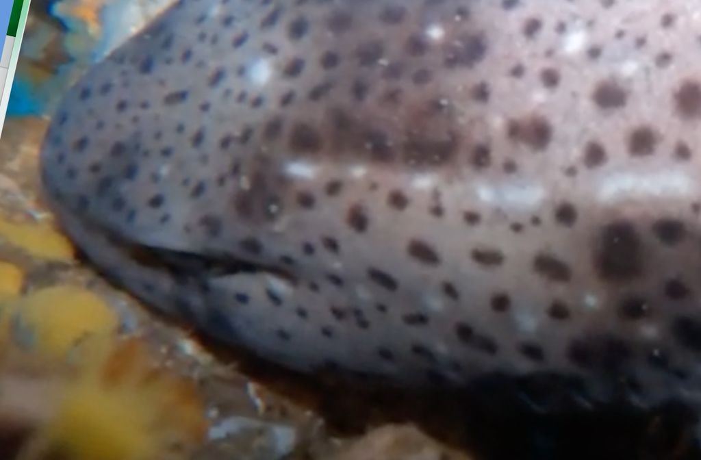 b5c09b47-6a53-4dd0-b58b-0ea96d2f8457