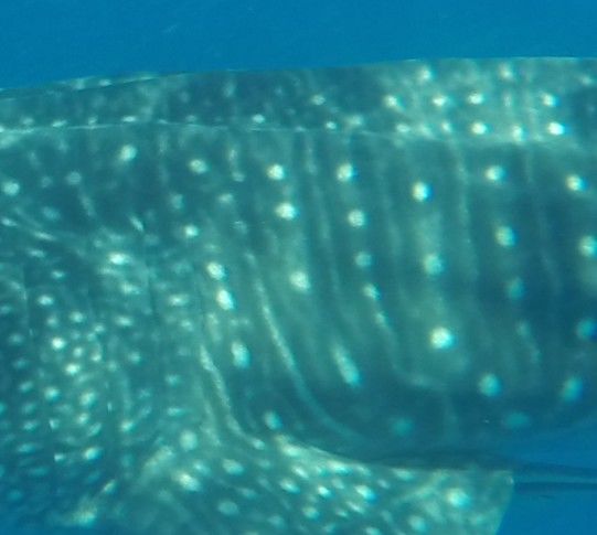 3b8618ea-40a1-49d8-8e13-4c138d87d93e