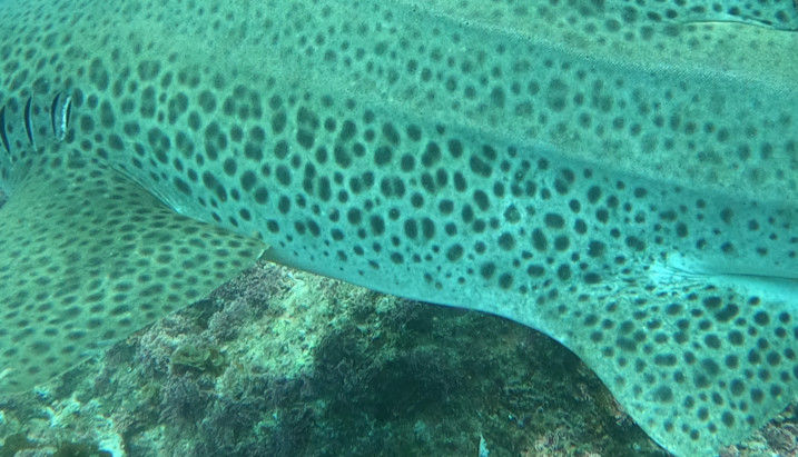 1a5d2942-048d-43f0-b418-12ecf89c44b1