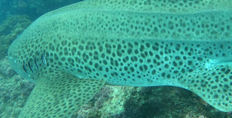 1a5d2942-048d-43f0-b418-12ecf89c44b1