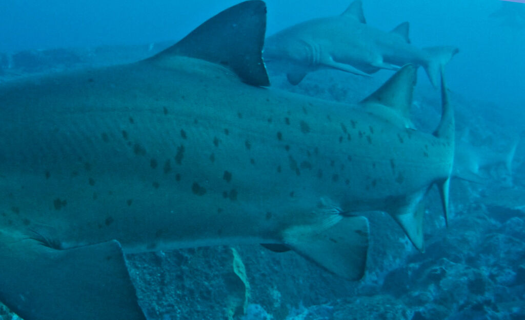 d7cbad2d-7149-47c9-a31a-9c56c9736afd