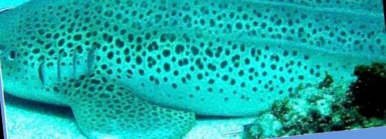 6e88e233-135f-476e-beb3-96863c9ac3f2