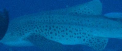 03c96fe5-6821-4a05-8d37-4a62accf2e46