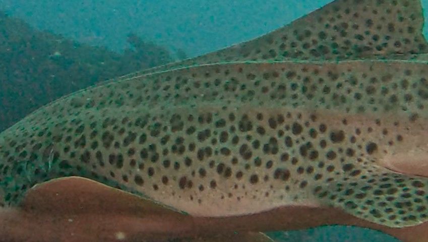 fddefede-ab19-47d6-b0aa-c206d598930e