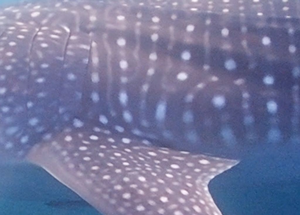 fb62926f-81f9-4070-ba2d-5303ce114e6d