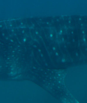 216ecb85-9103-4e1a-8f53-c7c227e5c705