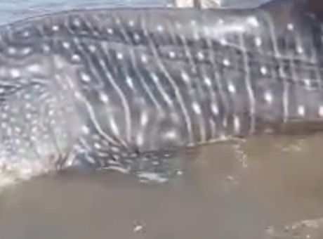 74dc3d37-ac07-44dd-9146-51a5717a107f