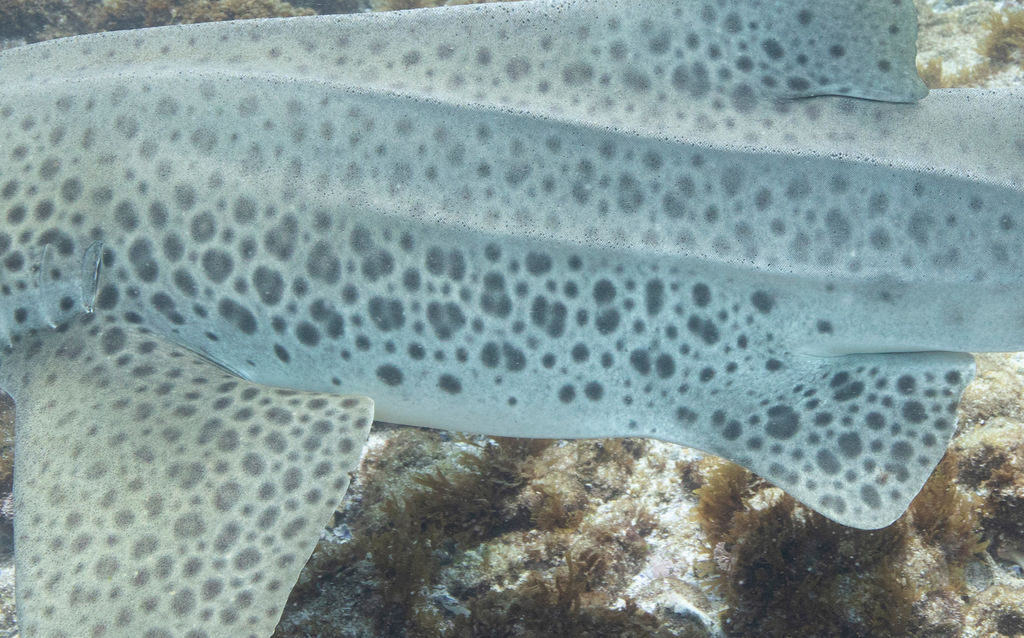 39f520af-3168-4139-a05a-30e9213a551d