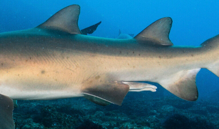 63cdf46e-f719-492d-a2da-74e2d63ff31a