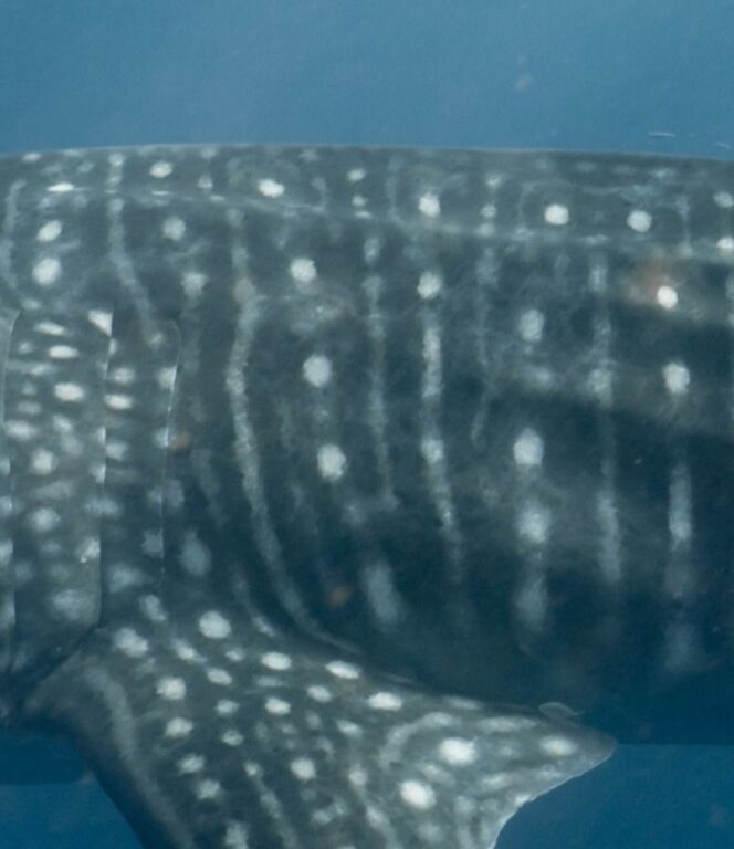 6ccce15c-57ef-46b0-82c0-9eb370118b70