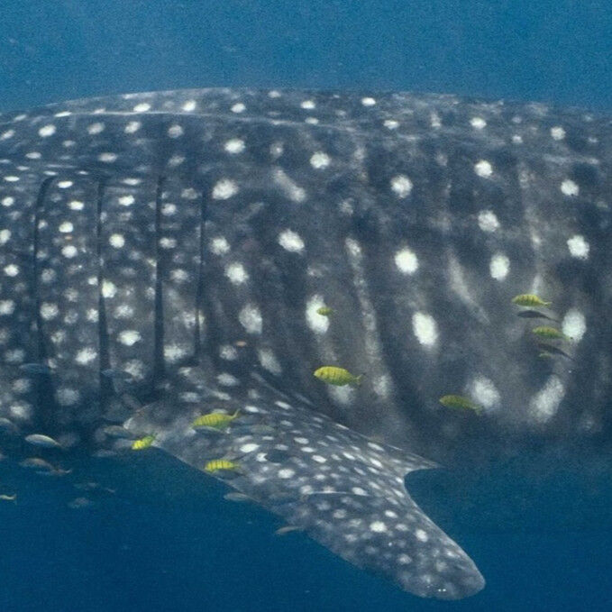 1aa9c1bc-9cb7-49e6-bc8c-5268010945f9