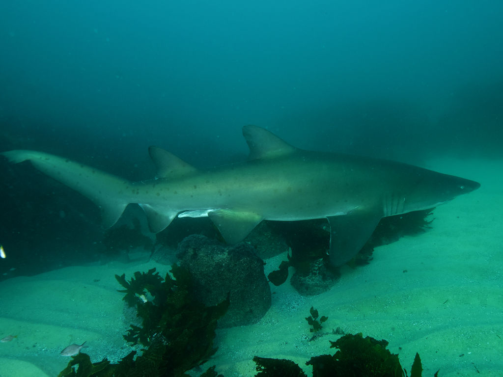 17eb1f3f-0aa6-4aa2-8986-07215549fdfd