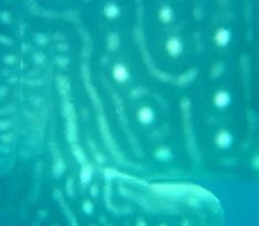 39f74d99-2f36-4086-b2a2-3b8cdb2a0fab