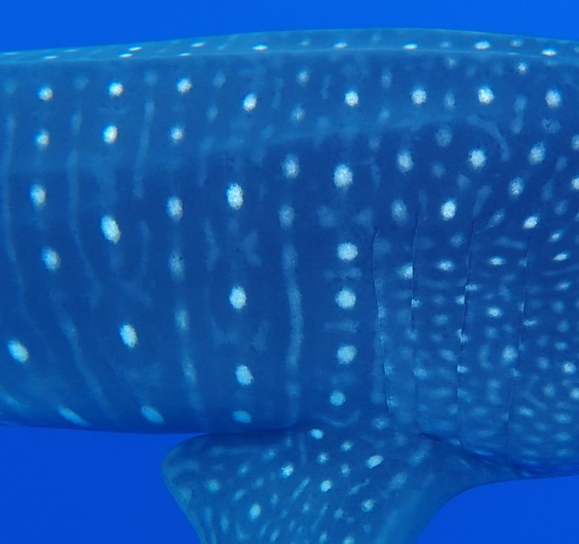 eb62b25d-27ac-4be4-84e3-947e8f11a3cf