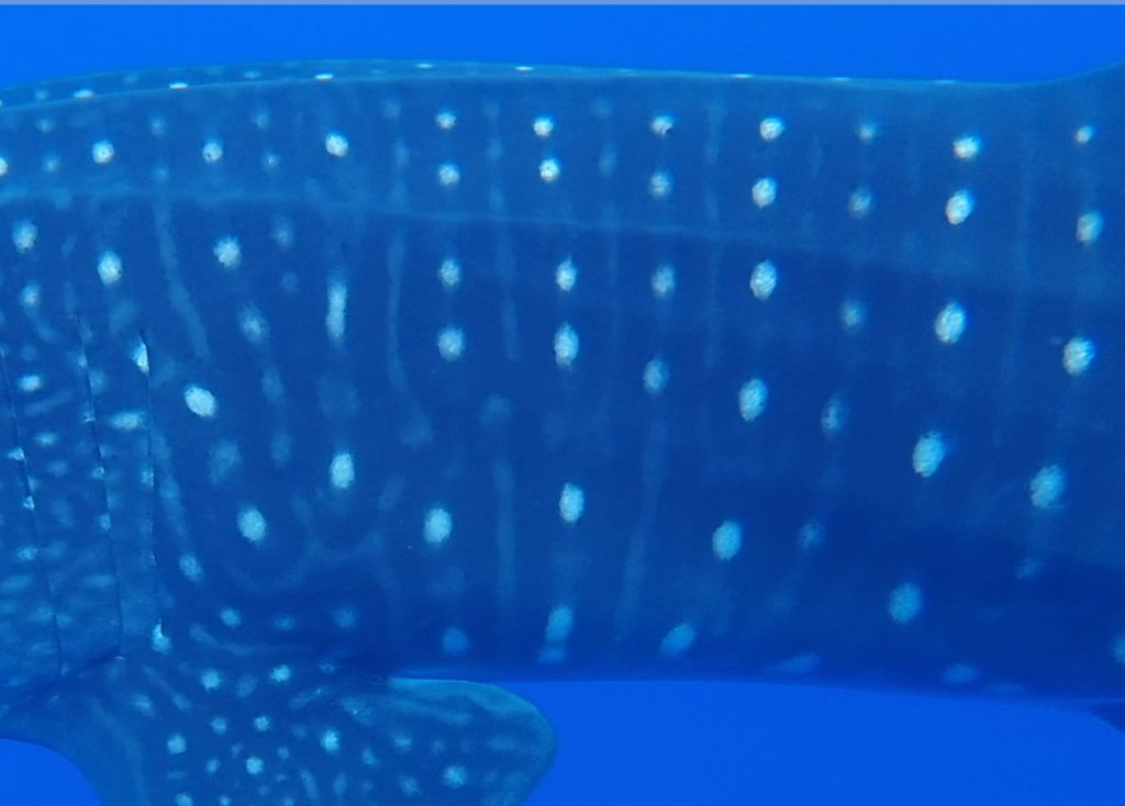 eb62b25d-27ac-4be4-84e3-947e8f11a3cf