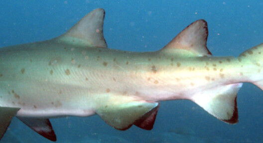 b748a669-617b-4c21-b80f-abb66796d356