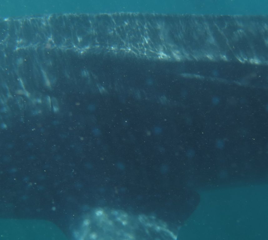 c827f133-fc26-4948-904d-52a15c5e9f39