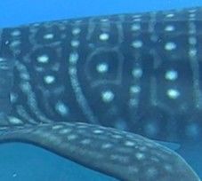 ecbb527e-1389-446f-b3d1-011c3595cae6