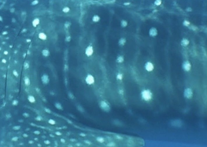 2115f60b-8d12-4d5e-bb3e-8211bba14840