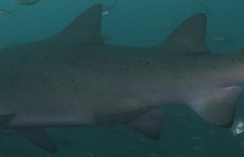 cb55e3fe-b799-441b-945d-15901e9e0efc