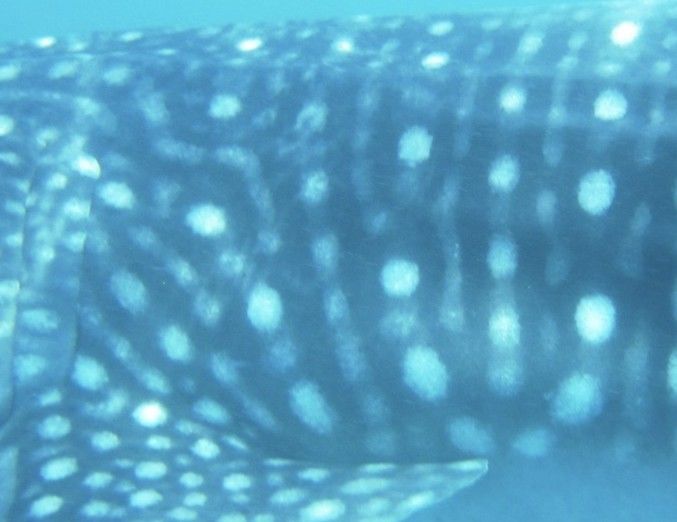 cbb666d4-2f3c-4d58-b84f-b15c852139c3