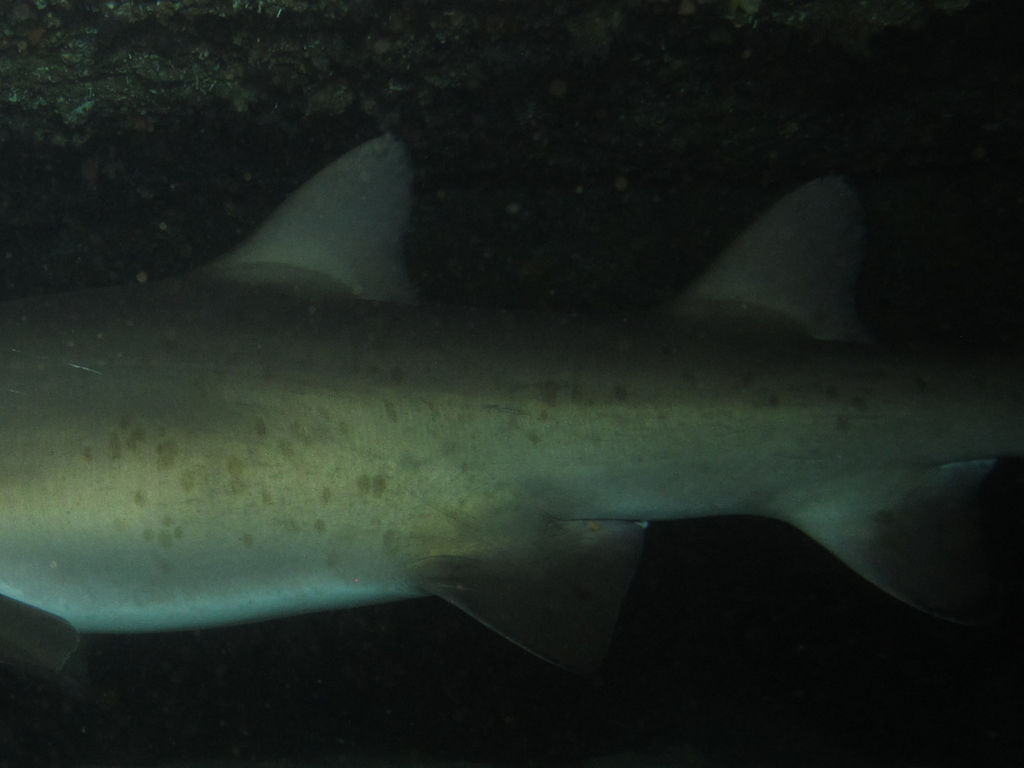 bcdeb42a-b97e-4b2c-ae5c-d1532786036a