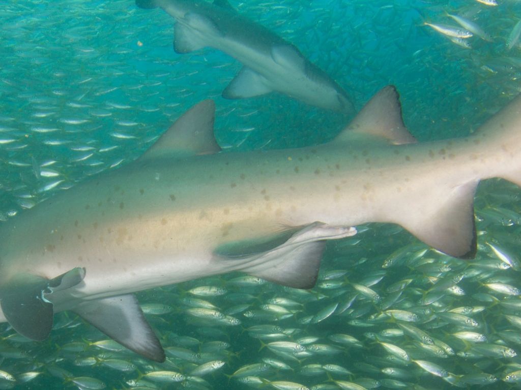 7a2f00a8-8f12-4fb0-bfd0-517225e48a09