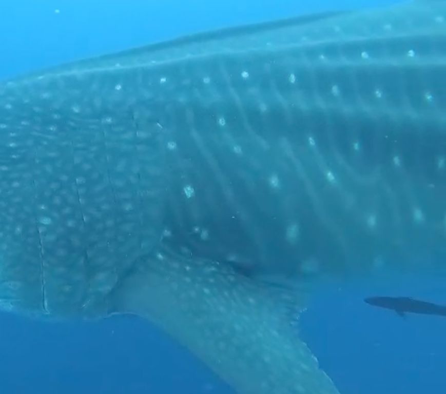 b34d4616-dd5e-4e56-ba95-e21a794f5fcd