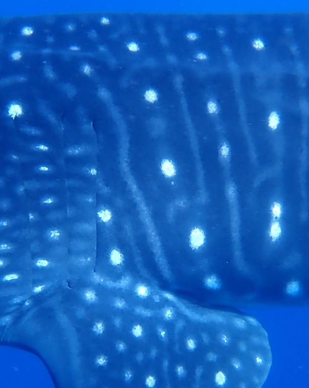 72103c6d-d8b5-4a19-9b21-45eddfd81bb4