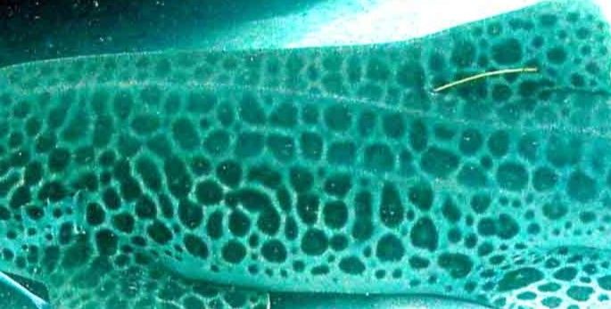 6aaf3901-bd04-4cf9-a606-86e2001a74f7